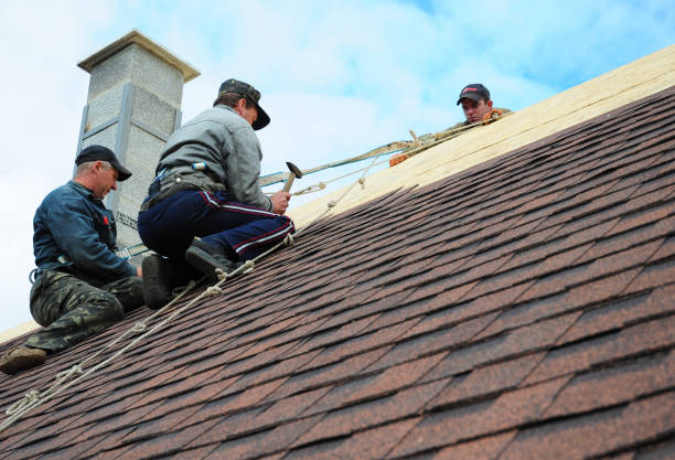 Best Gutter Installation and Roofing  in Guttenberg, NJ